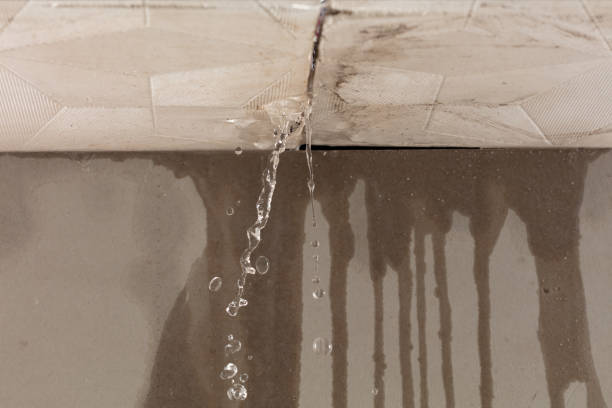 Professional Structural Drying technician working in Castell, TX